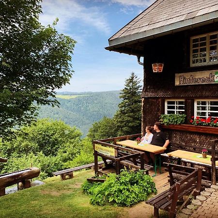 Ferienwohnung Hintereck Gutenbach Bagian luar foto