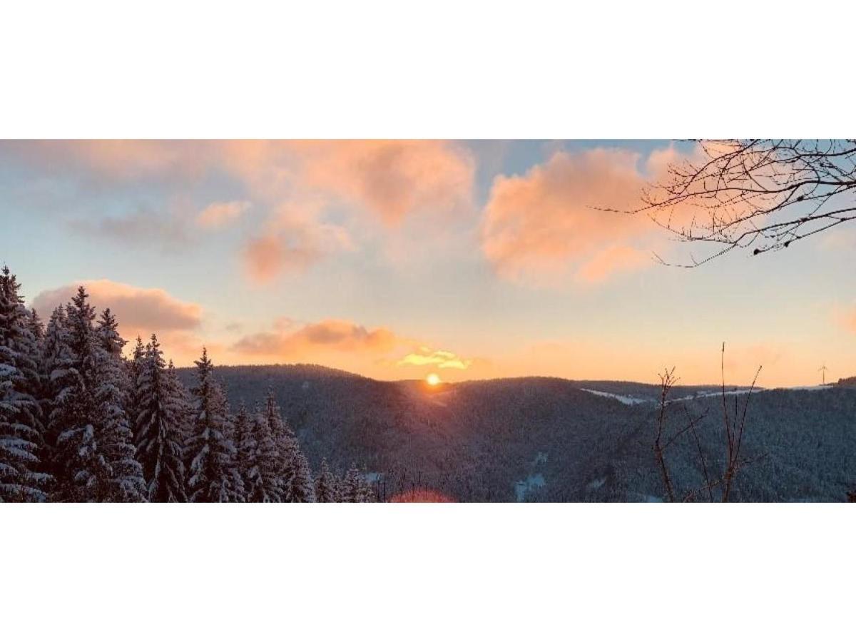Ferienwohnung Hintereck Gutenbach Bagian luar foto